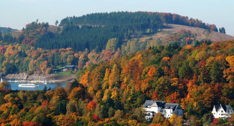 Omgeving