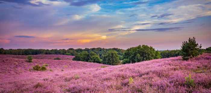 Weekendje weg op de Veluwe