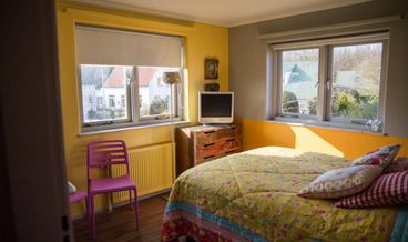 afbeelding van Bronzen kamer