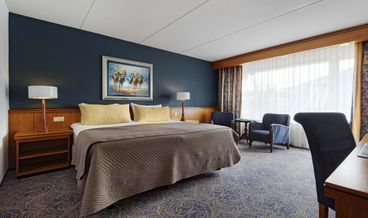 afbeelding van Economy kamer