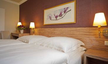 afbeelding van Standaard Kamer