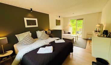 afbeelding van Premium tweepersoonskamer, terras