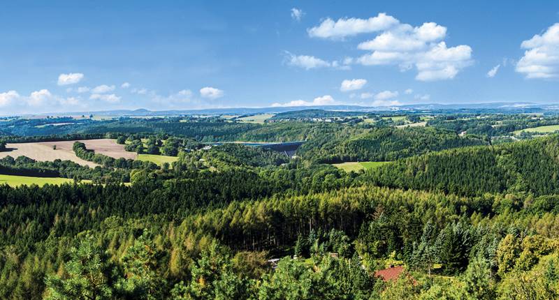 Omgeving