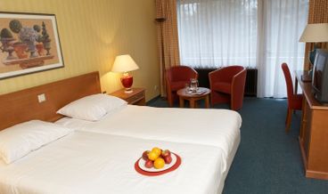 afbeelding van Klassieke kamer NRF
