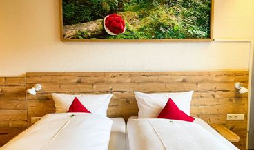 afbeelding van Klassieke kamer, 1 twee- of 2 eenpersoonsbedden, 1 slaapkamer, uitzicht op bergen