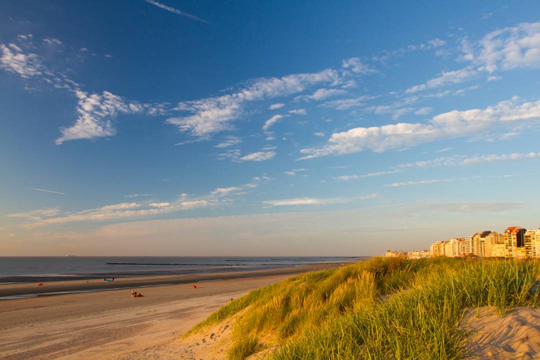 Onze Bed and Breakfasts in België