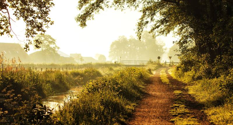 Omgeving