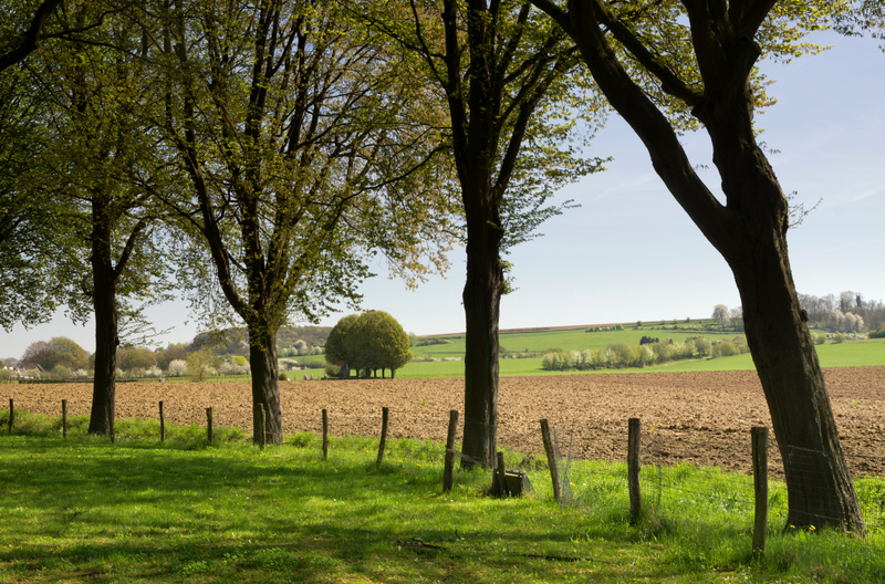 Omgeving