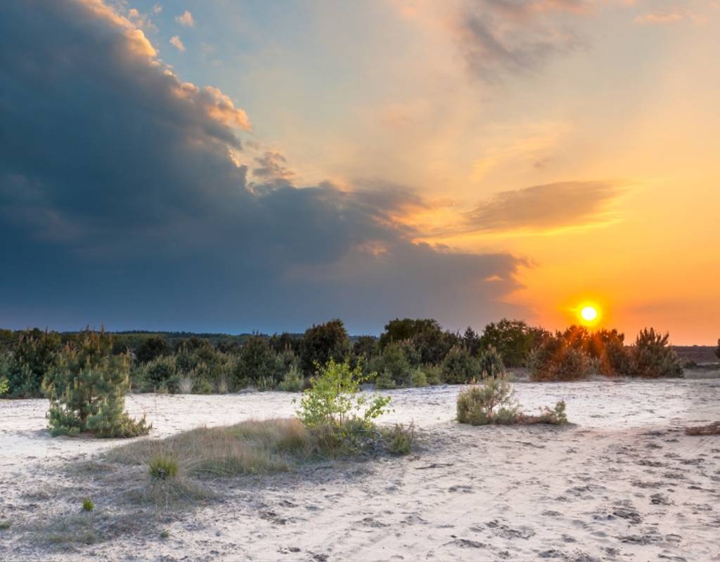 Top 5 bezienswaardigheden op de Veluwe
