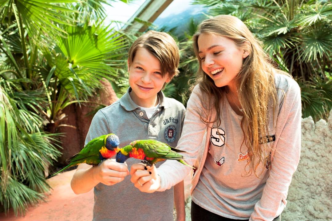 Hotels nabij Vogelpark Avifauna