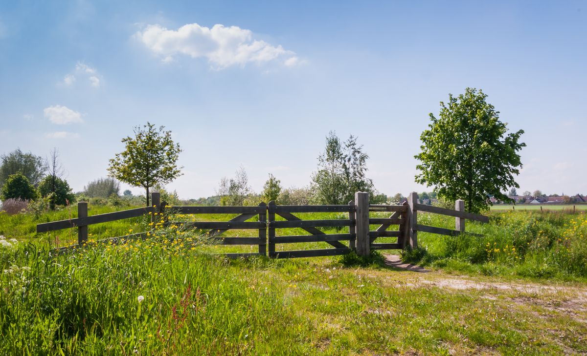 Hotels in Sint-Michielsgestel