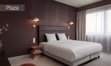 afbeelding van Plaza Double Room
