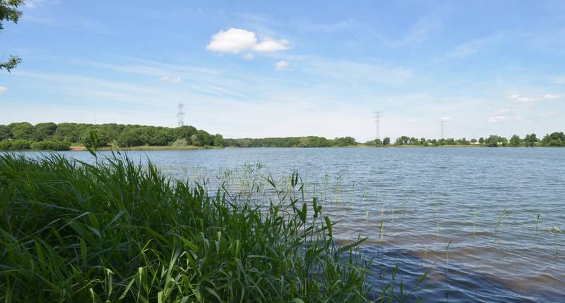 Omgeving