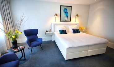 afbeelding van Luxe kamer (Luxe kamer in toren)