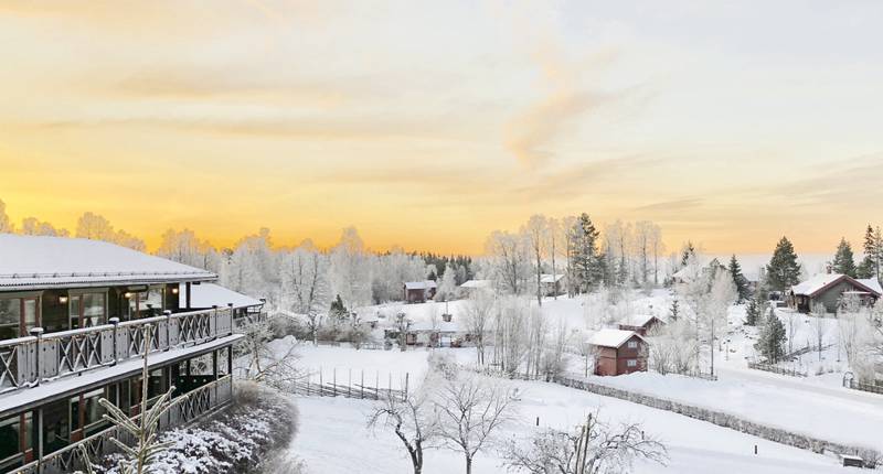 Omgeving