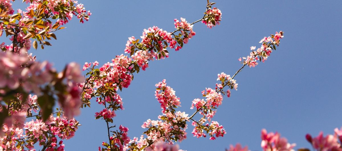 Lente Sale in Duitsland