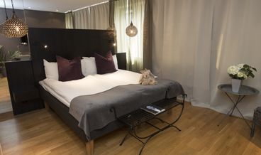 afbeelding van Standaard Kamer