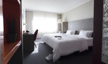 afbeelding van Standaard Kamer