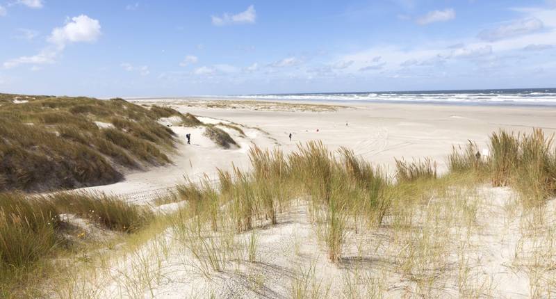 Omgeving