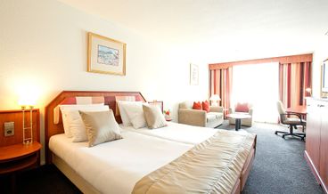 afbeelding van Deluxe kamer