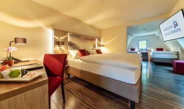 afbeelding van Comfort kamer