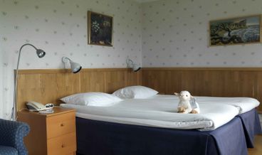 afbeelding van Standaard Kamer