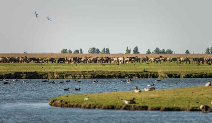 Hotels in Flevoland