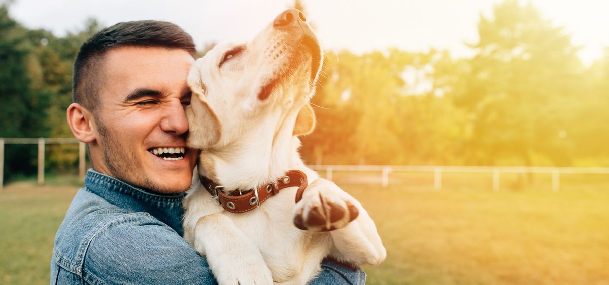 Hotel met hond in Varberg