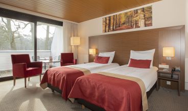 afbeelding van Standaard kamer met balkon
