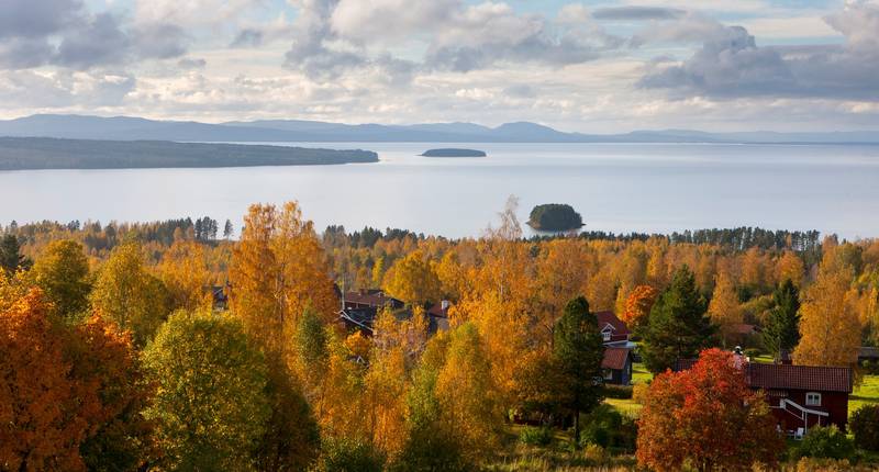 Omgeving