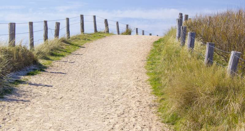Omgeving