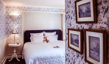 afbeelding van Comfort kamer