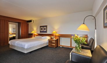 afbeelding van Luxe comfort kamer