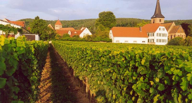 Omgeving