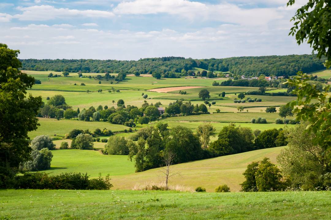 Hotels in Limburg