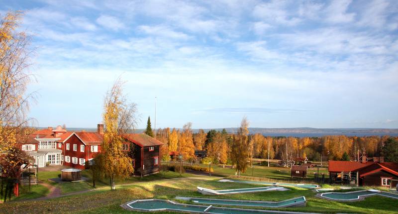 Omgeving