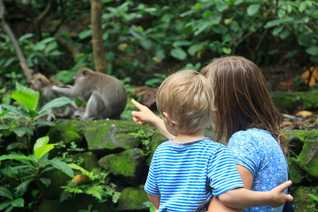 Hotels nabij dierenpark Apenheul