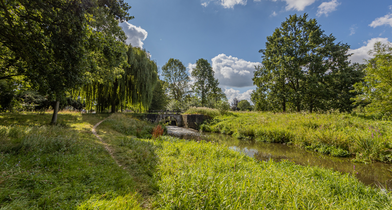 Omgeving