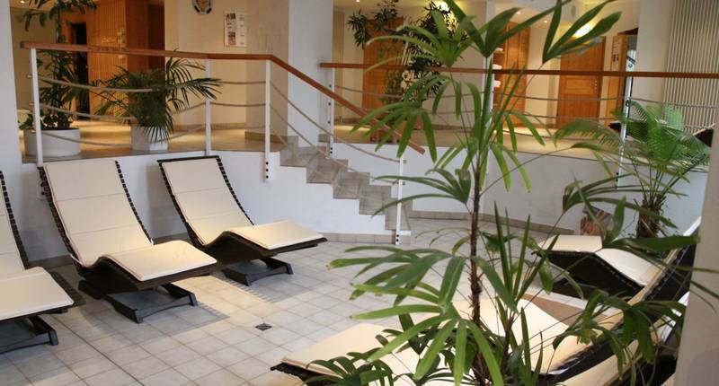 Wellness