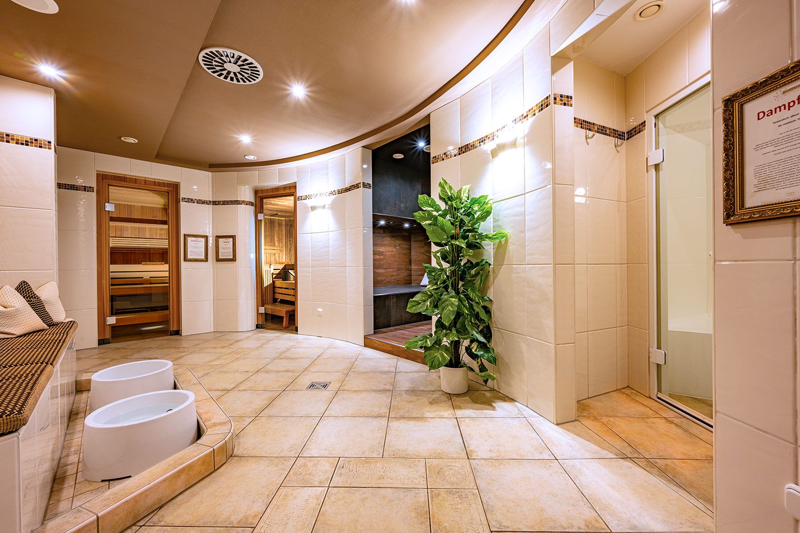 Wellness
