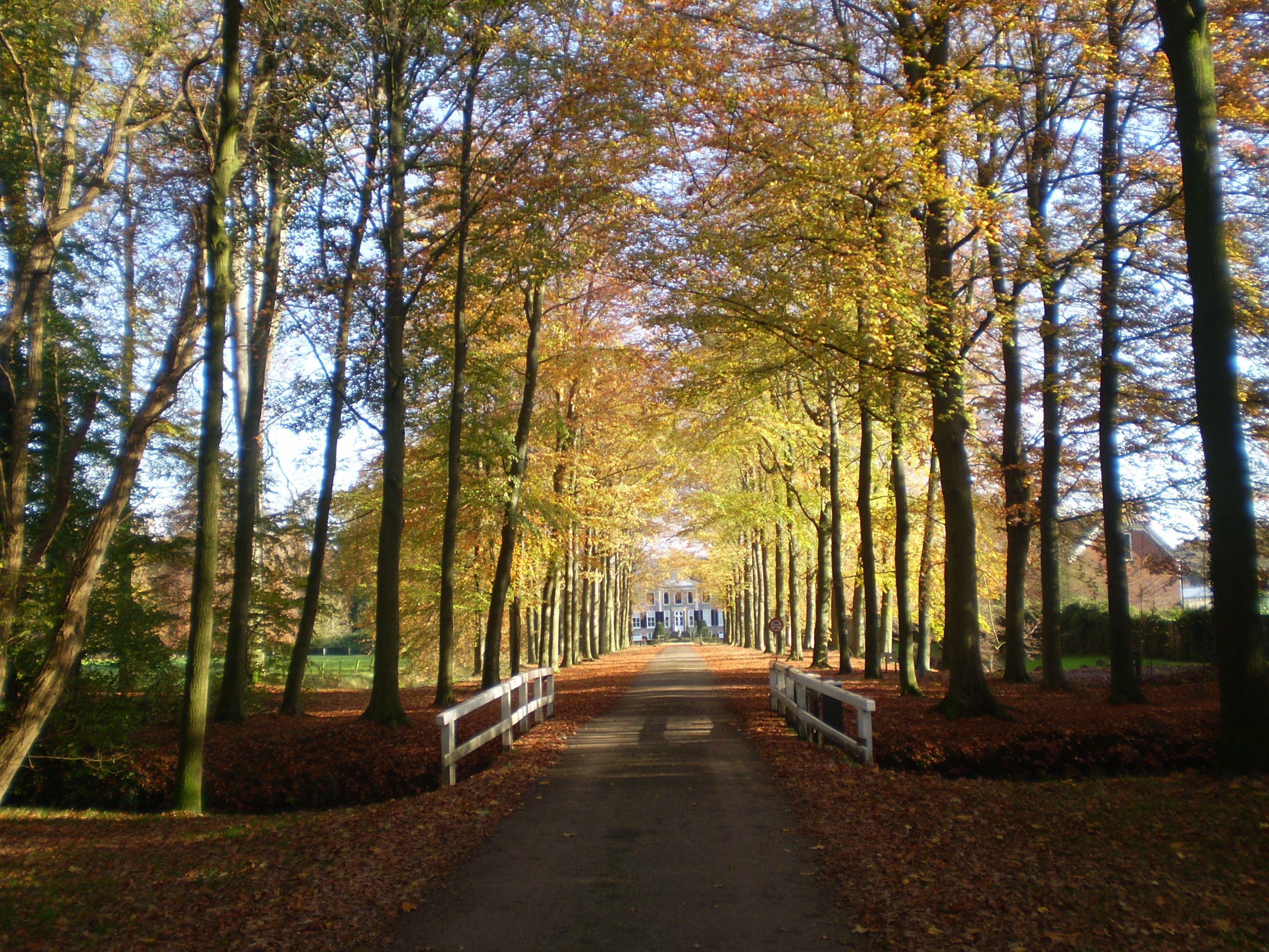 Omgeving