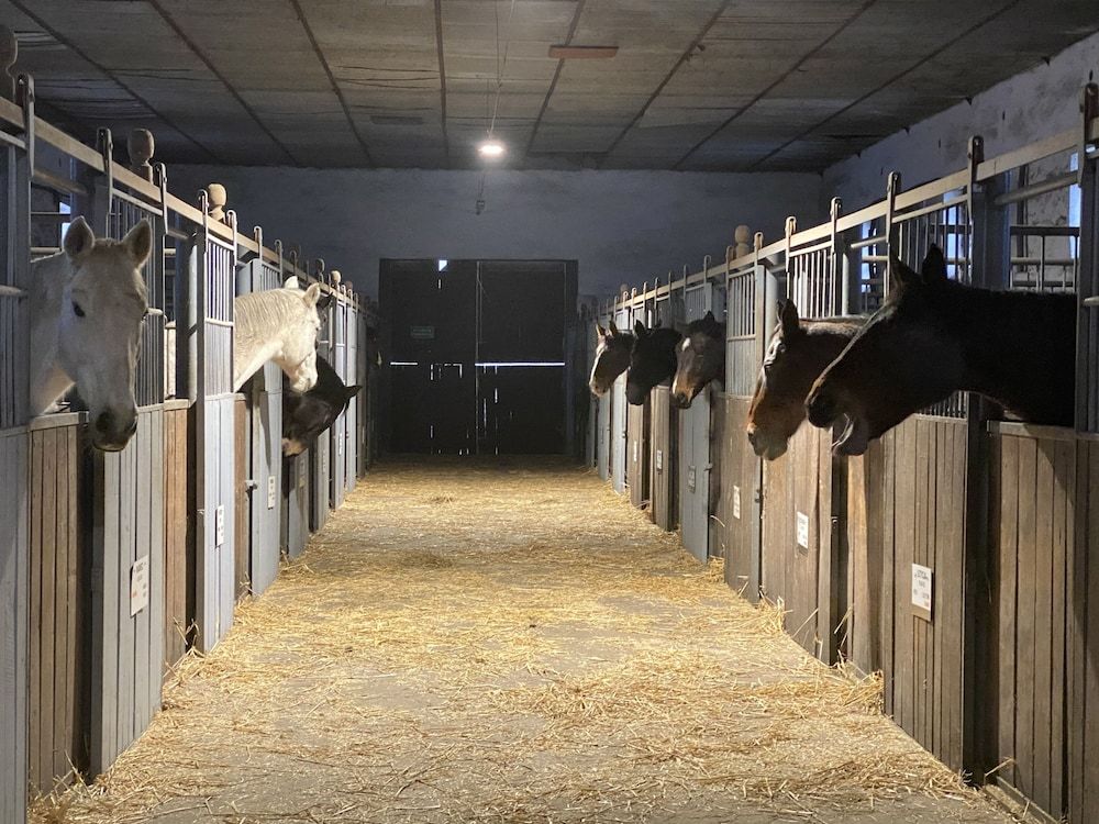 Algemeen