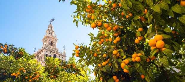 Wat te doen tijdens je stedentrip Sevilla?