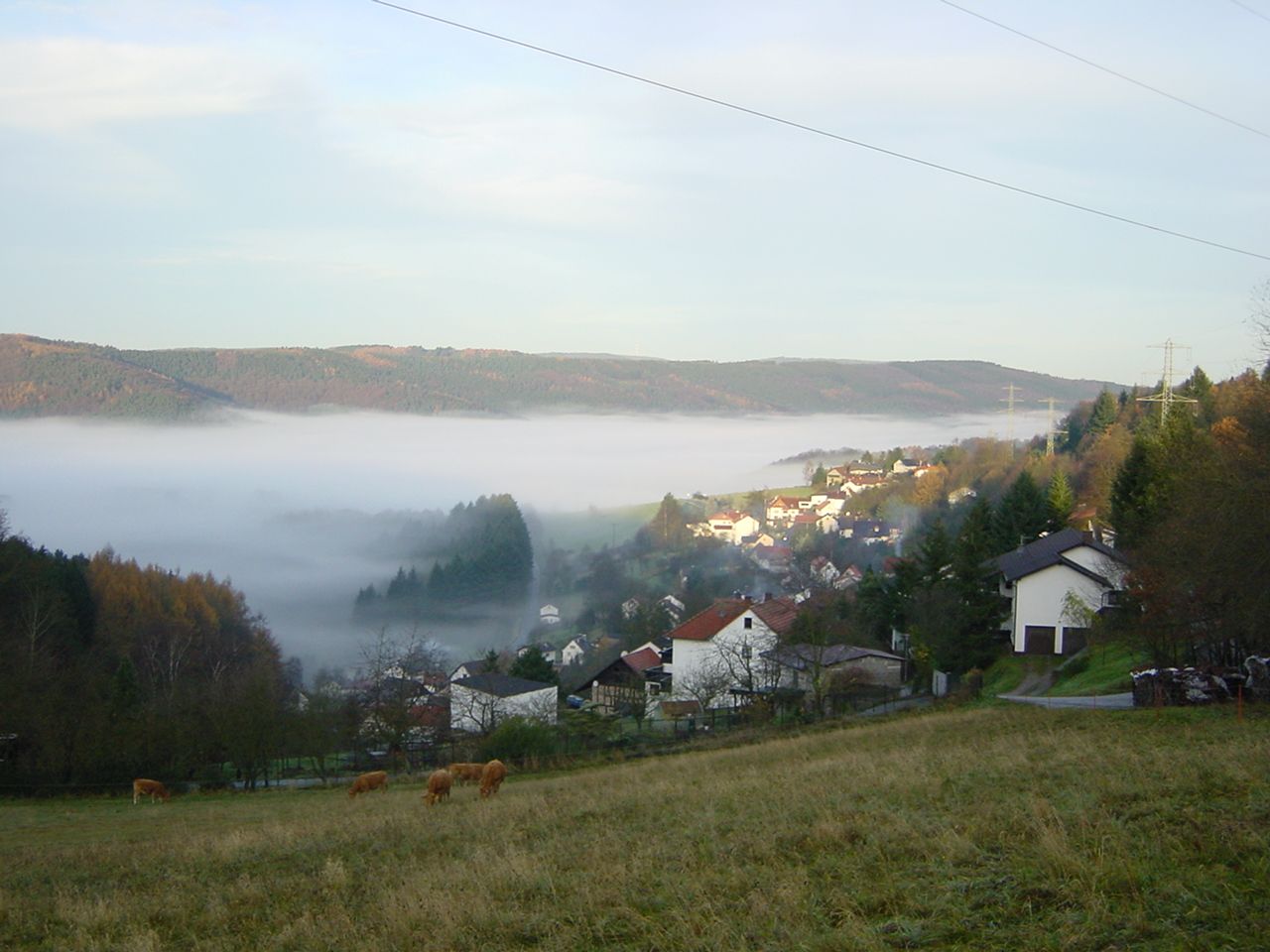 Omgeving