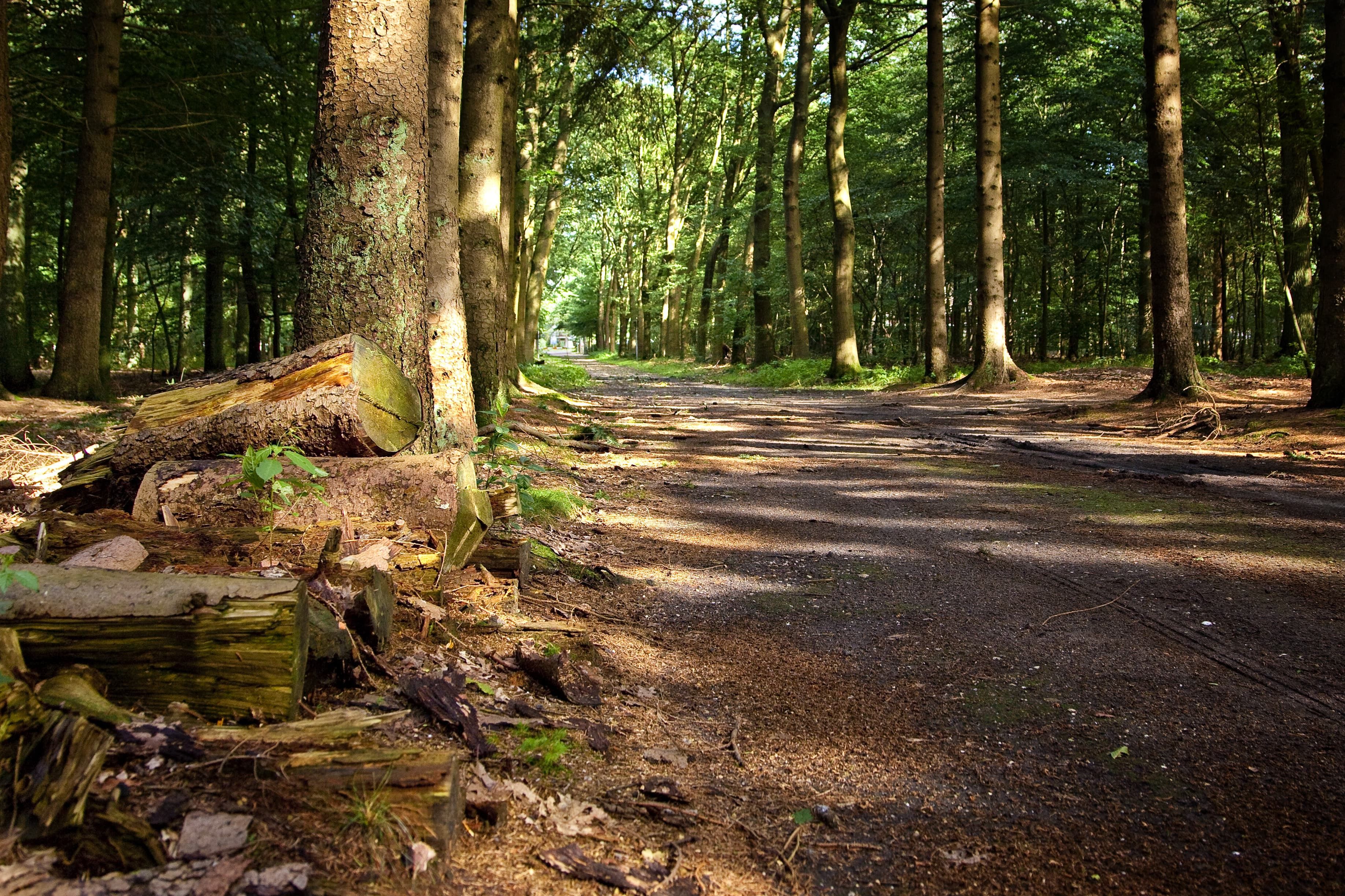 Omgeving