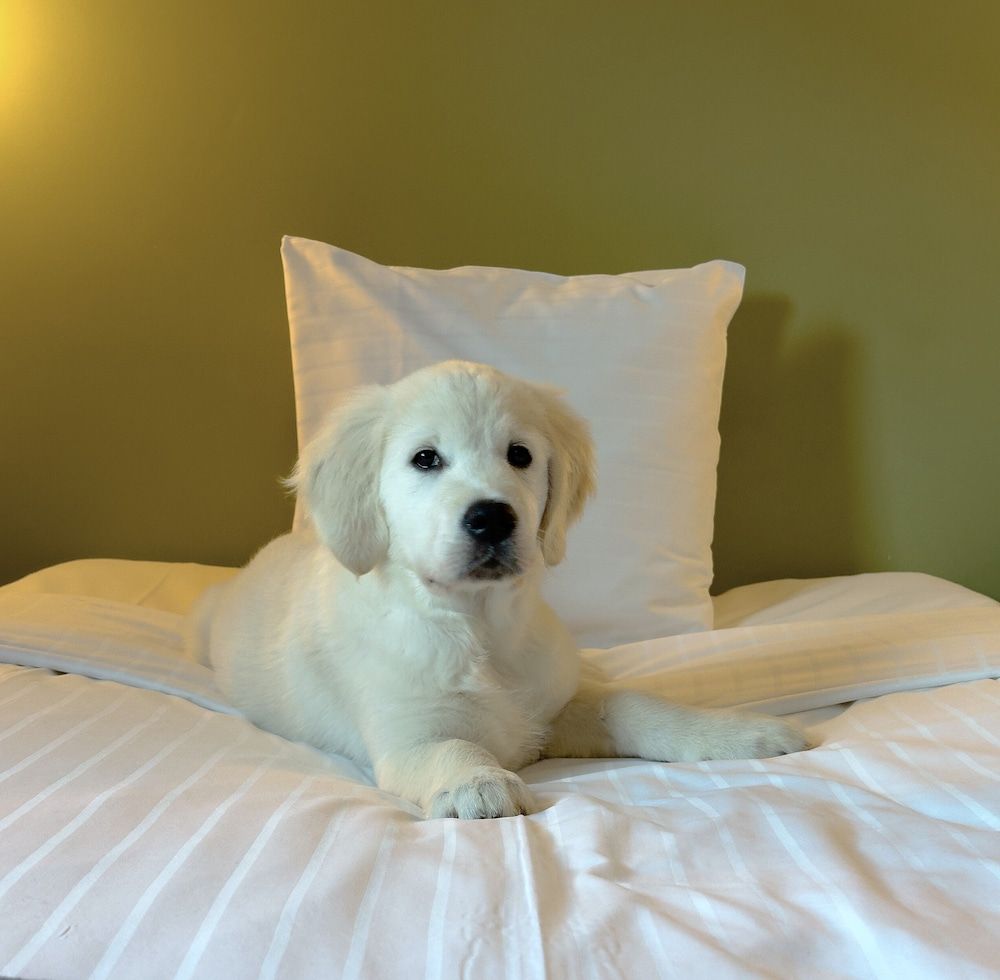 Algemeen