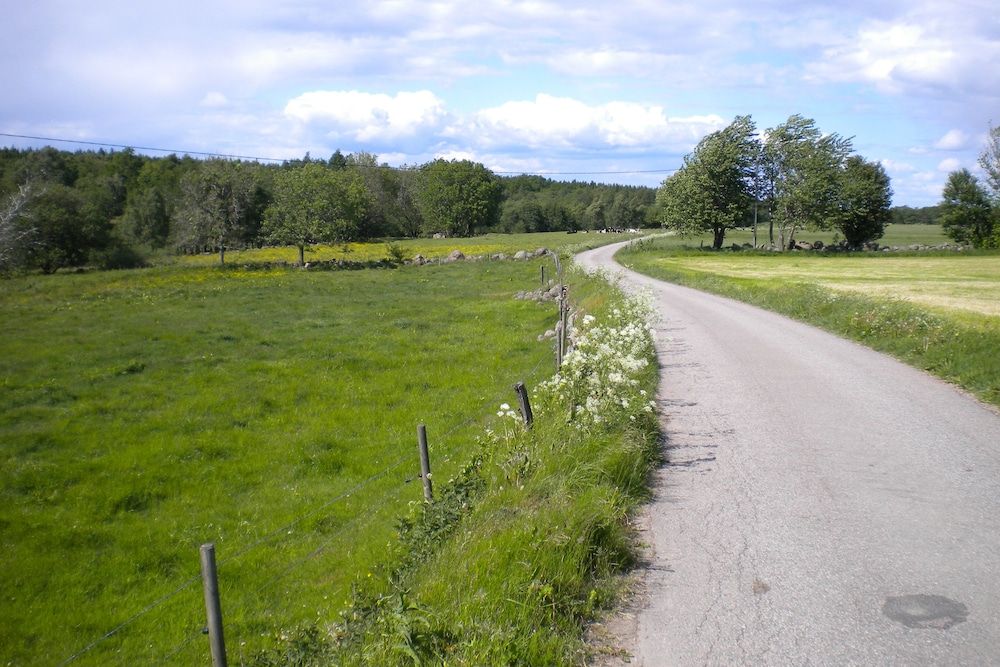Algemeen