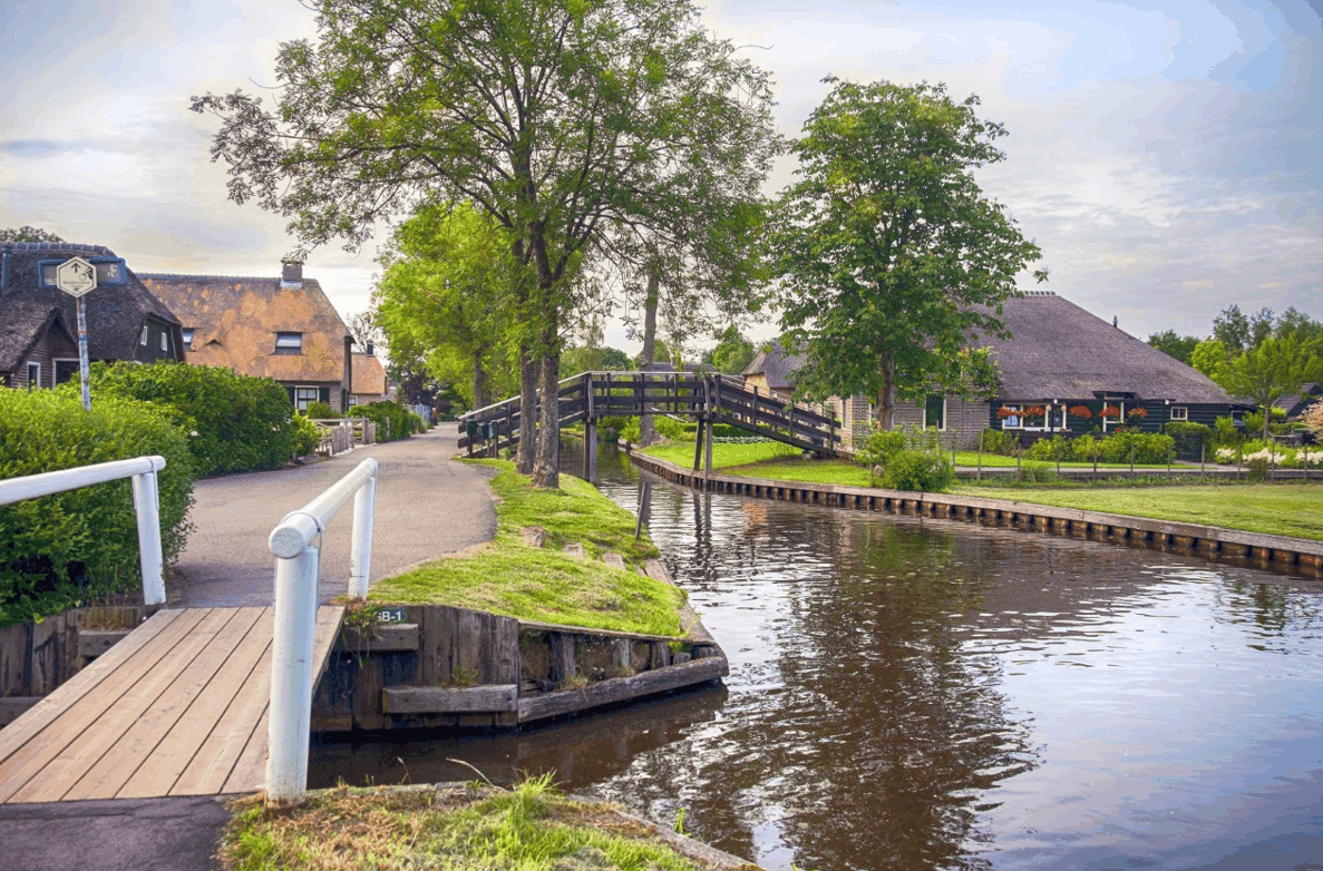 Omgeving