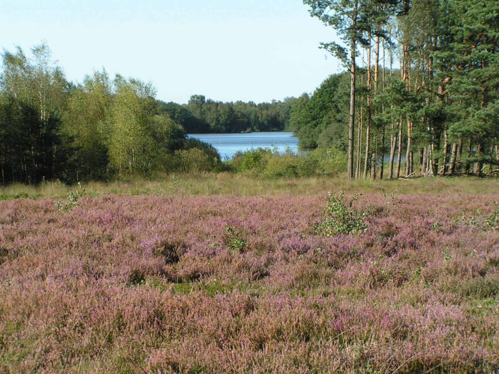 Omgeving
