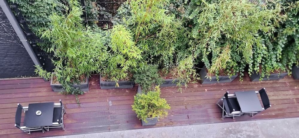 afbeelding van Ontdek de Stad Arrangement